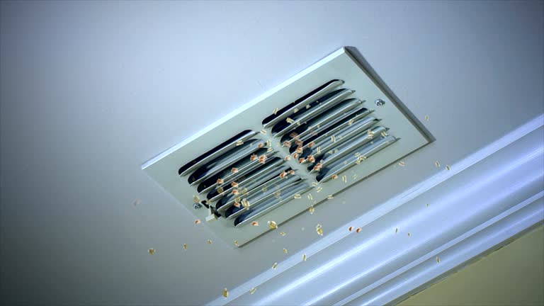 Best Ductwork Cleaning Services  in Roselle, IL