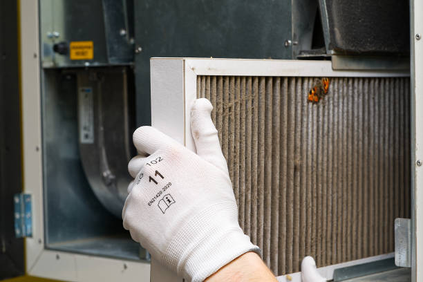 Best Commercial Air Duct Cleaning  in Roselle, IL