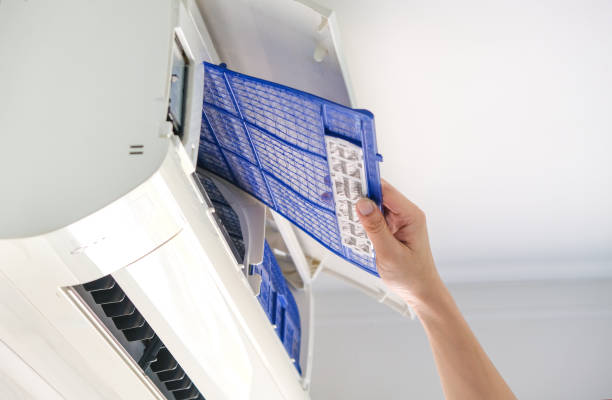 Best Duct Cleaning for Homes  in Roselle, IL