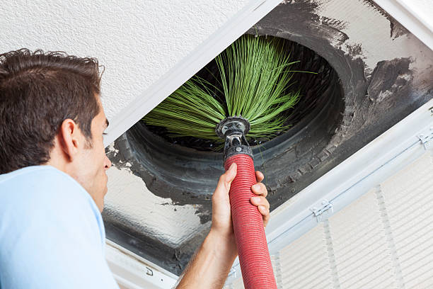 Best Affordable HVAC Duct Cleaning  in Roselle, IL